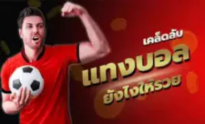 เว็บแทงบอลดีที่สุด